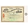 Image 1 : Hyko Silver Mining Company Stock paired with Pahranagat Mining Medal [205000]