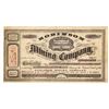 Image 1 : Robinson Mining Company Stock Certificate, Comstock, Nevada Territory, 1864 [204828]