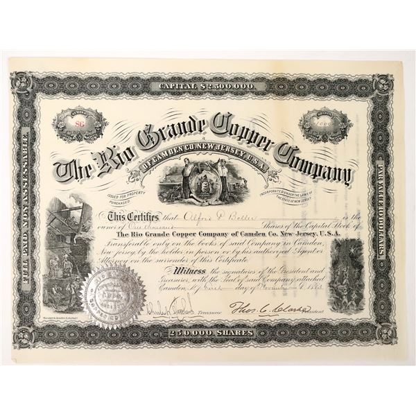 Rio Grande Copper Stock, 1883 [187768]