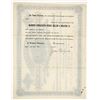 Image 2 : Mammoth Cons. Mining & Milling & Smelting Co. Stock Issued to Juan Delgado [204820]