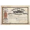 Image 1 : Charleston South Carolina Mining & Manufacturing Co. Stock Certificate (Phosphate Mining) [204834]