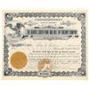 Image 1 : Denver, South Park and Hill Top Railway Company Stock Certificate, 1896 [205383]
