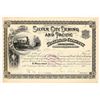 Image 1 : Silver City, Deming and Pacific Railroad Co. Stock Certificate, 1894 [205384]