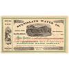 Image 1 : Stanislaus Water Company Stock Certificate, 1873 [205381]