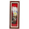 Image 1 : Framed/Mounted Hand Painted Feather [204716]