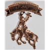 Image 1 : Reno Rodeo Vintage Pin [203636]