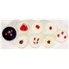 Image 1 : Faceted Red Gemstone Group [203880]