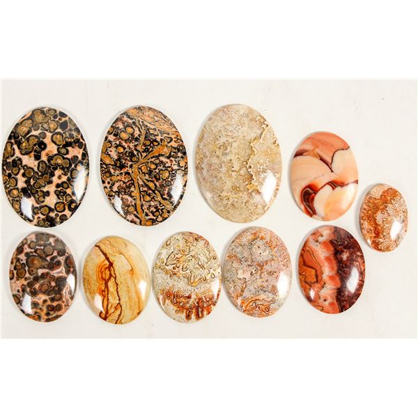 Spherulite and Other Polished Cabochons (10)   [205066]