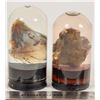 Image 2 : Opal Specimens, Royal Peacock Mine, Unstabilized Display Specimens in Water (2) [204411]