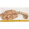 Image 2 : Fossil Yellow Coral Exceptional Specimen [203896]
