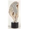 Image 1 : Polished Fossilized Coral from Pakistan Display Piece [204489]