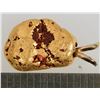 Image 2 : Gold Nugget Pendant [203971]