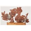 Image 1 : Copper Crystal Leaf Display Specimen from Ray Mine - RARE!  [205054]