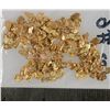 Image 1 : California Gold Nugget Group (About 1 ounce) [203973]