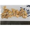 Image 1 : California Gold Nugget Group (1 ounce) [203972]