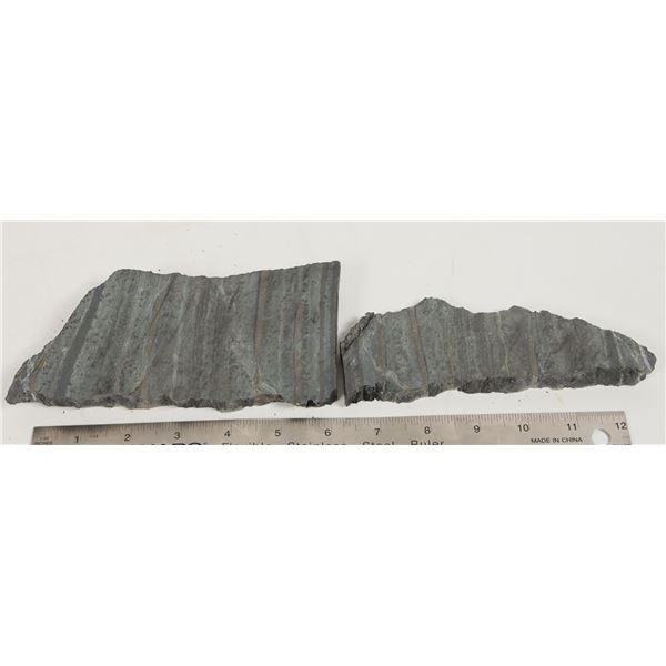 Cobaltite - High Grade Silver Ore from Sunshine Mine   [205075]