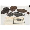 Image 1 : Homestake Large Specimen Group (5) [203731]