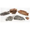 Image 2 : Homestake Large Specimen Group (5) [203731]