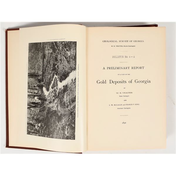 Gold Deposits of Georgia [204696]