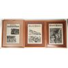 Image 1 : Framed Scientific Newspapers | Homey & Classy (3) [202091]