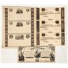 Image 1 : Scrip Currency [203807]