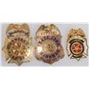 Image 1 : Choice Gold California Fire Department Badges, and Firemen's Archive [132778]