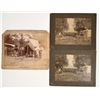 Image 1 : Lake County CA & Hunt/Fishing Camp Photos [204268]