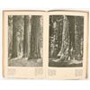 Image 3 : Big Trees of CA, Southern Pacific Co, Rare Booklet [203617]