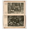 Image 4 : Big Trees of CA, Southern Pacific Co, Rare Booklet [203617]