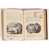 Image 3 : Scenes In California Leather Bound Book [202765]