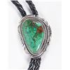Image 2 : Turquoise & Silver Bolo Tie, Leather [202602]