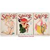 Image 2 : Snappy And Spicy Stories Pin-Up Magazines  [201264]