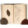 Image 2 : 'The Leaf-Collector's Handbook', 1902 [200593]