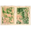 Image 2 : Atlas Maps Of The Northwest 1899 [203901]