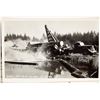 Image 3 : Logging Ponds, Shutes, Rafts, and Flume Postcards (40) [200772]