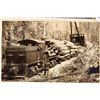 Image 2 : Postcards of Log Trains on Way to Lumber Mills (39) [200770]