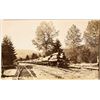Image 4 : Postcards of Logs Ready for Trip to Lumber Mill by Rail (32) [200769]