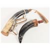Image 1 : Powder horns [204712]