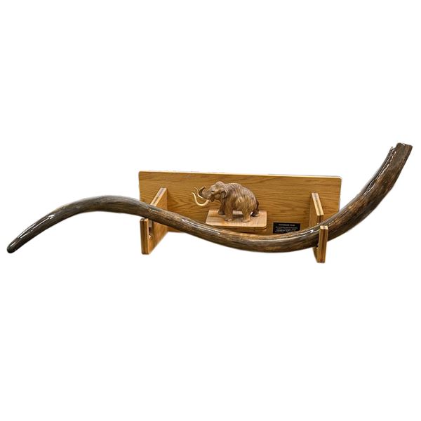 Mammoth Tusk Found in Alaska Mine [206518]