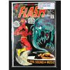 Image 1 : THE FLASH #207 - DC COMICS