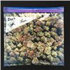 Image 1 : CHEECH AND CHONG SIGNED FLOWER PILLOW CASE (KB COA)