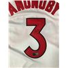 Image 2 : OG ANUNOBY SIGNED TORONTO RAPTORS JERSEY - ACE COA