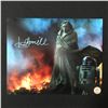 Image 1 : MARK HAMILL SIGNED LUKE SKYWALKER 8X10 - KB COA