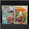 Image 1 : LOT OF 2 THE AMAZING SPIDERMAN COMICS #142-143 - MARVEL COMICS