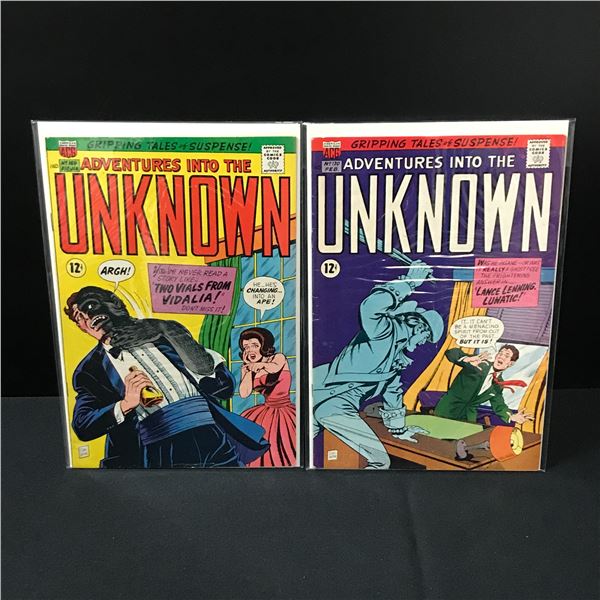 LOT OF 2 ADVENTURES INTO THE UNKNOWN COMICS #169-170 - ACG