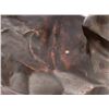 Image 8 : Antoine-Louis Barye - Bronze Centaur Sculpture