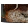 Image 6 : Signed King Charles Spaniel Dog Ceramic Art Tile