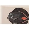Image 12 : 1903 Hawaiian Tropical Fish Chromolithographs