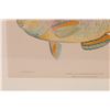 Image 7 : 1903 Hawaiian Tropical Fish Chromolithographs