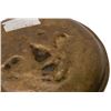 Image 9 : Man in the Moon Belgian Brass Trinket Dish